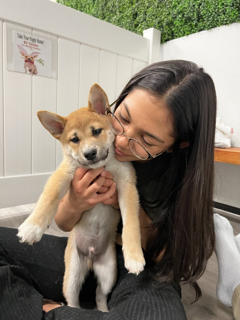 Koa held in girls arms